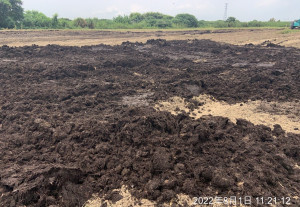 （圖／翻攝自嘉減碳Facebook）