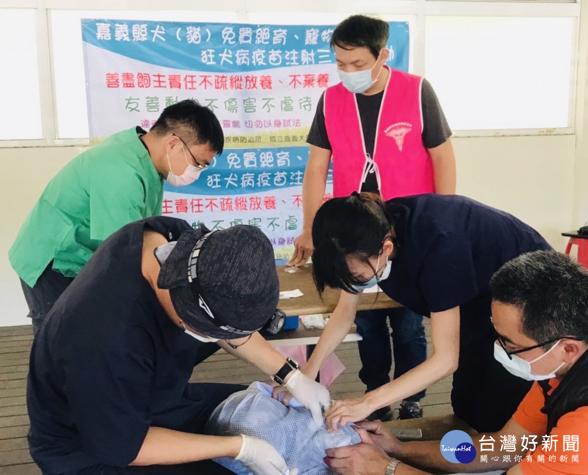 嘉義縣家畜所輔導山區犬貓植晶片、打疫苗/嘉義縣府提供