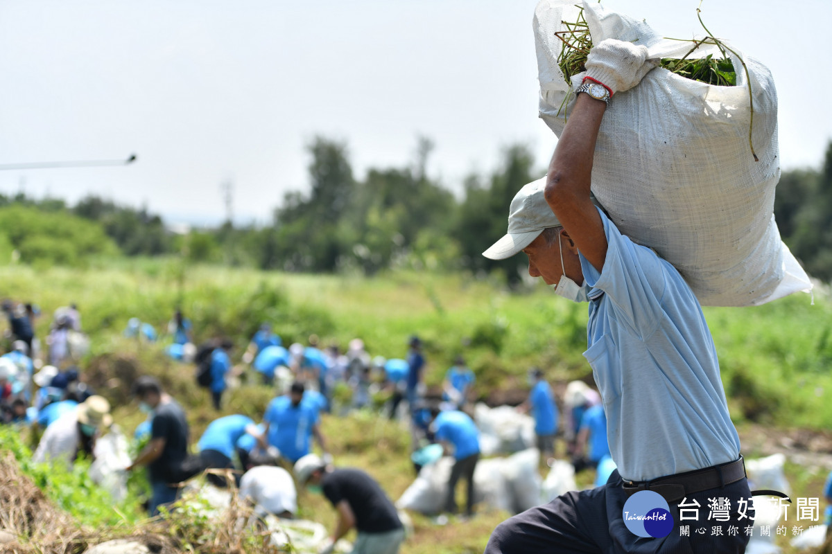 林務局以每公斤5元的價格收購小花蔓澤蘭，今年度臺中市政府農業局每公斤再加碼3元。