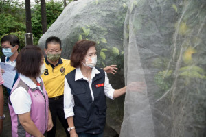 宜蘭縣長林姿妙（圖／宜蘭縣府農業處）