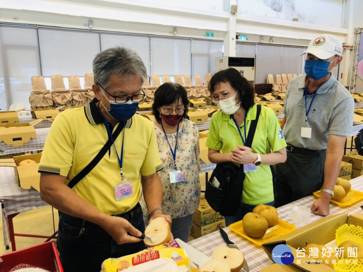 露梨果品評鑑專家學者仔細討論