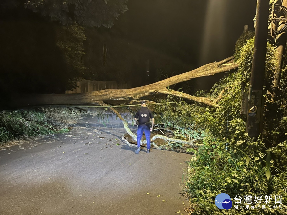 午後豪雨造成土石鬆動路樹倒塌,龍警交管及排除道路障礙。