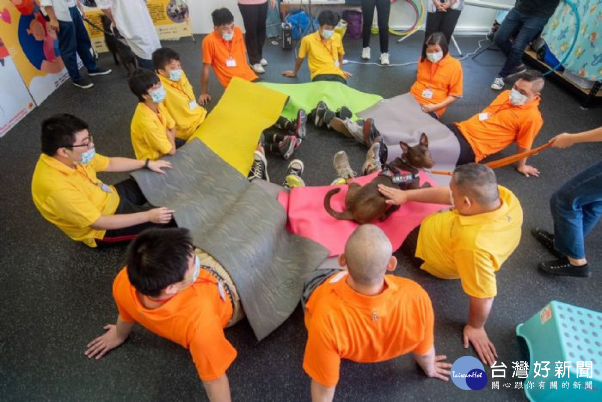 心輔犬多為經過專業訓練的流浪狗，能與自閉症學員互動、遊戲，讓他們放鬆情緒，感受同理心與存在感。