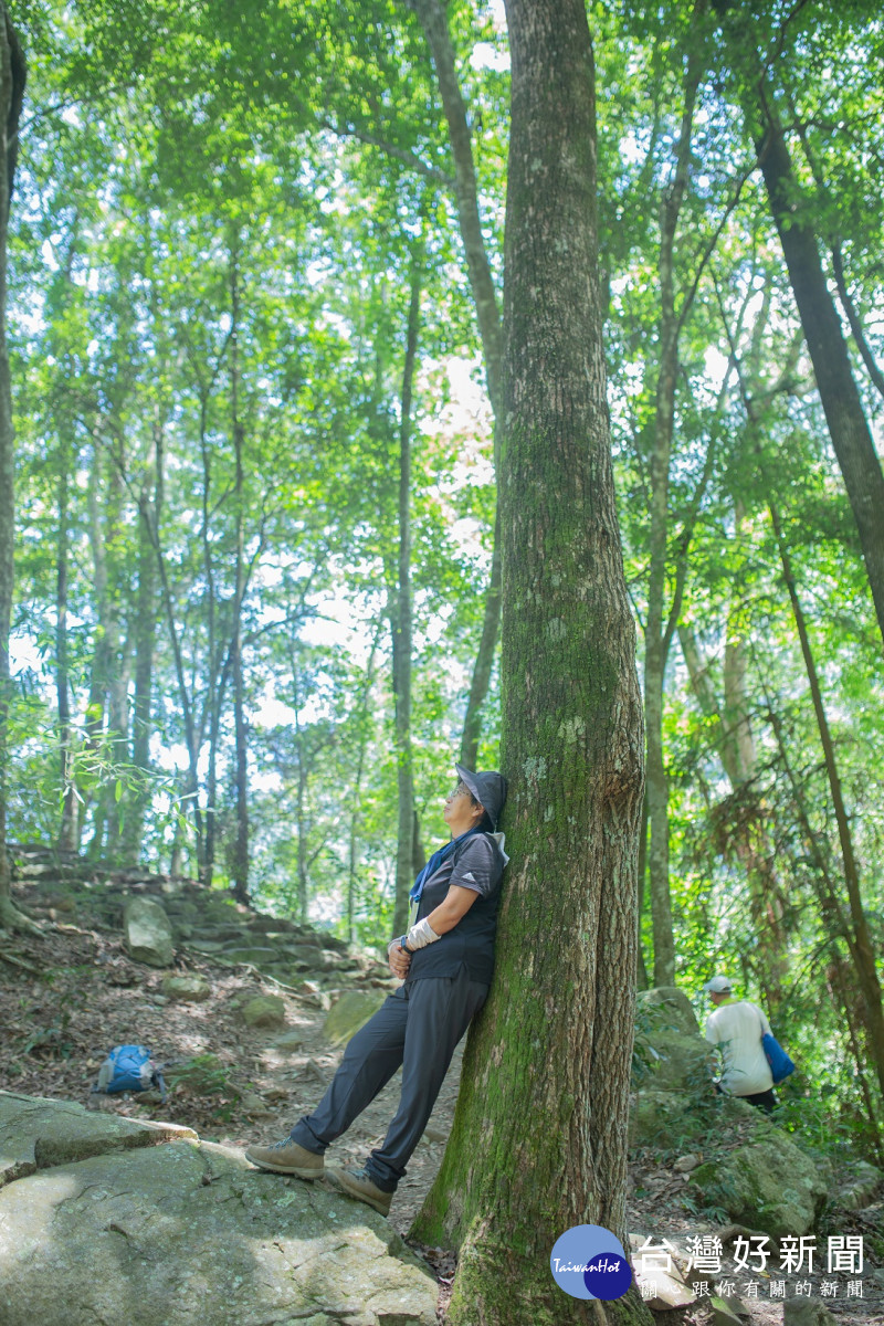 八仙山「聊癒森心」活動，帶領大家漫步於中低海拔的壯闊森林，享受天然芬多精(八仙山