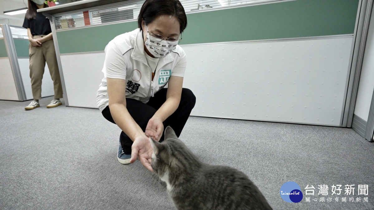桃園市長候選人賴香伶偕同友善動物傑出獎獲獎人、龜山區市議員候選人簡僑亨、蘆竹區市議員候選人黃國晏一同發布動保政策。<br />
<br />
