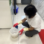 杜絕鼠患　臺東環保局呼籲做好「防鼠三不」原則