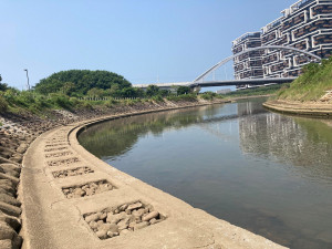 無混凝土工法修復淡水公司田溪護岸，河道清理後，發現河道空間變寬了