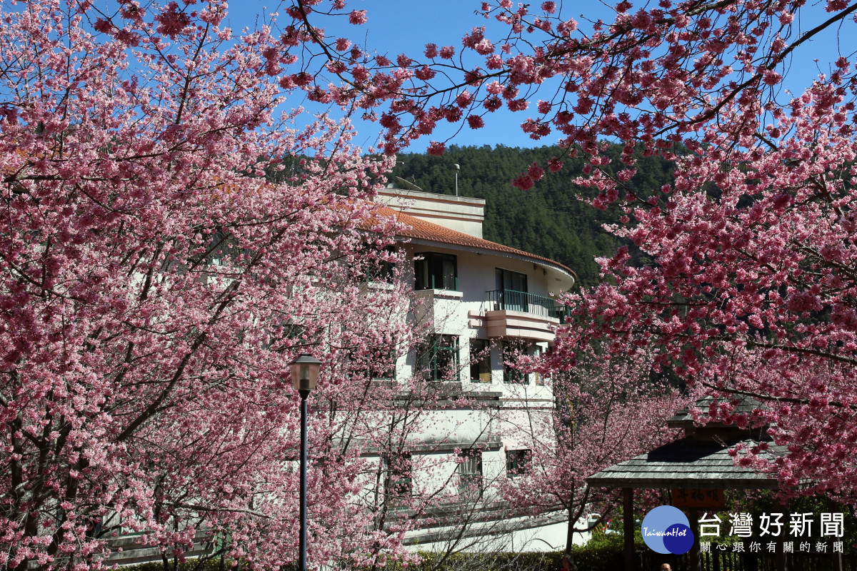 武陵農場第二賓館100至110年平均客房住用率高達68.31%，投資環境優良。