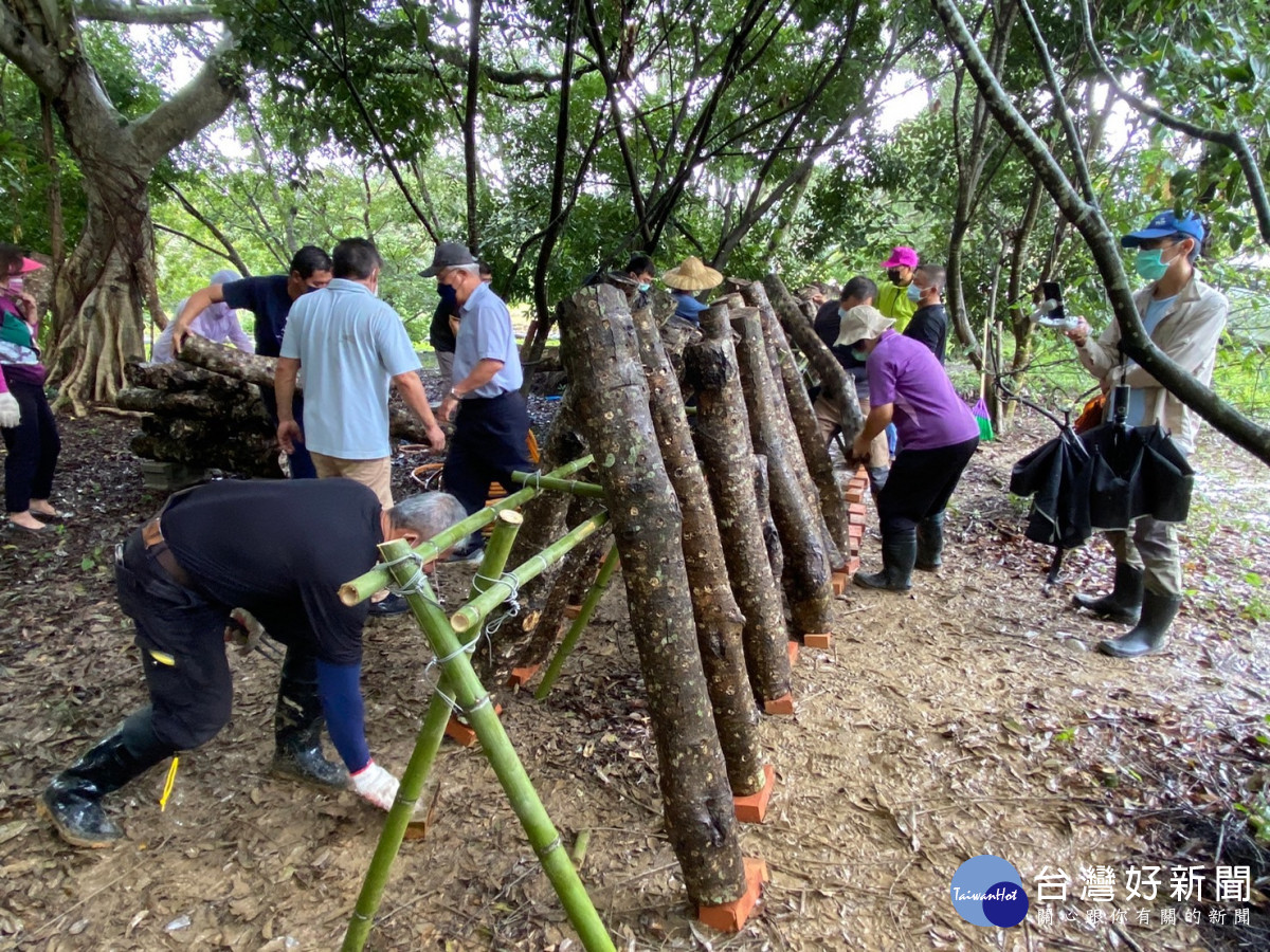 東勢處辦理林下經濟段木香菇訓練班，將於市集提供民眾免費品嚐林下段木香菇。