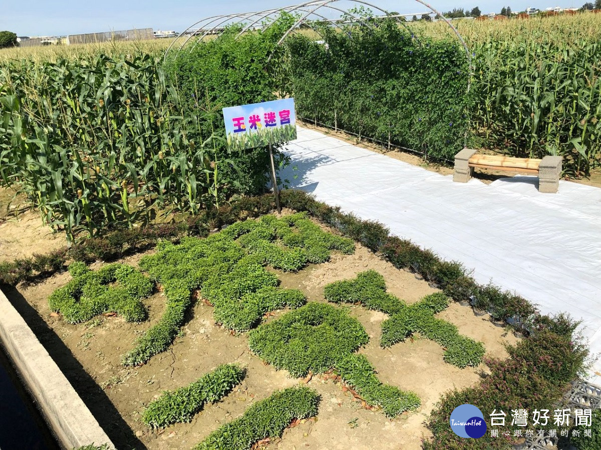 中區農改場農科技研成果推廣　深耕二甲子躍啟新世代