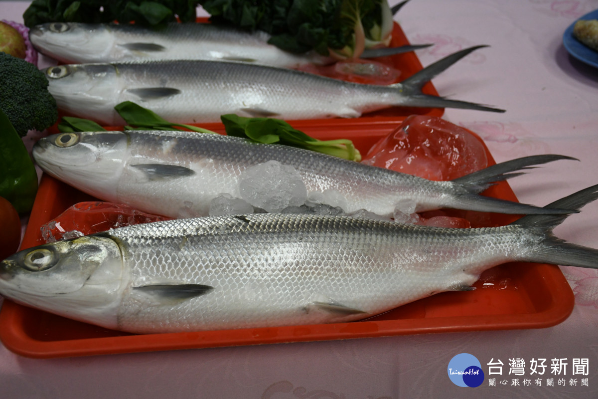 「彰化有好市 相揪買菜 抽大獎」活動，記者會上擺上現撈的鮮魚 。圖／彰化市公所提供