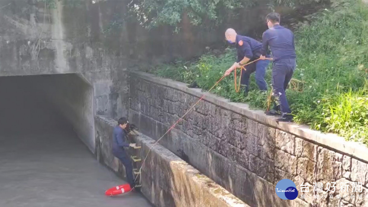 黑狗兄失足落水　楊梅警奮力撈起