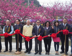 前台中市議員翁美春(右三)成功推動泰安櫻花季成為全國知名的賞櫻勝地。