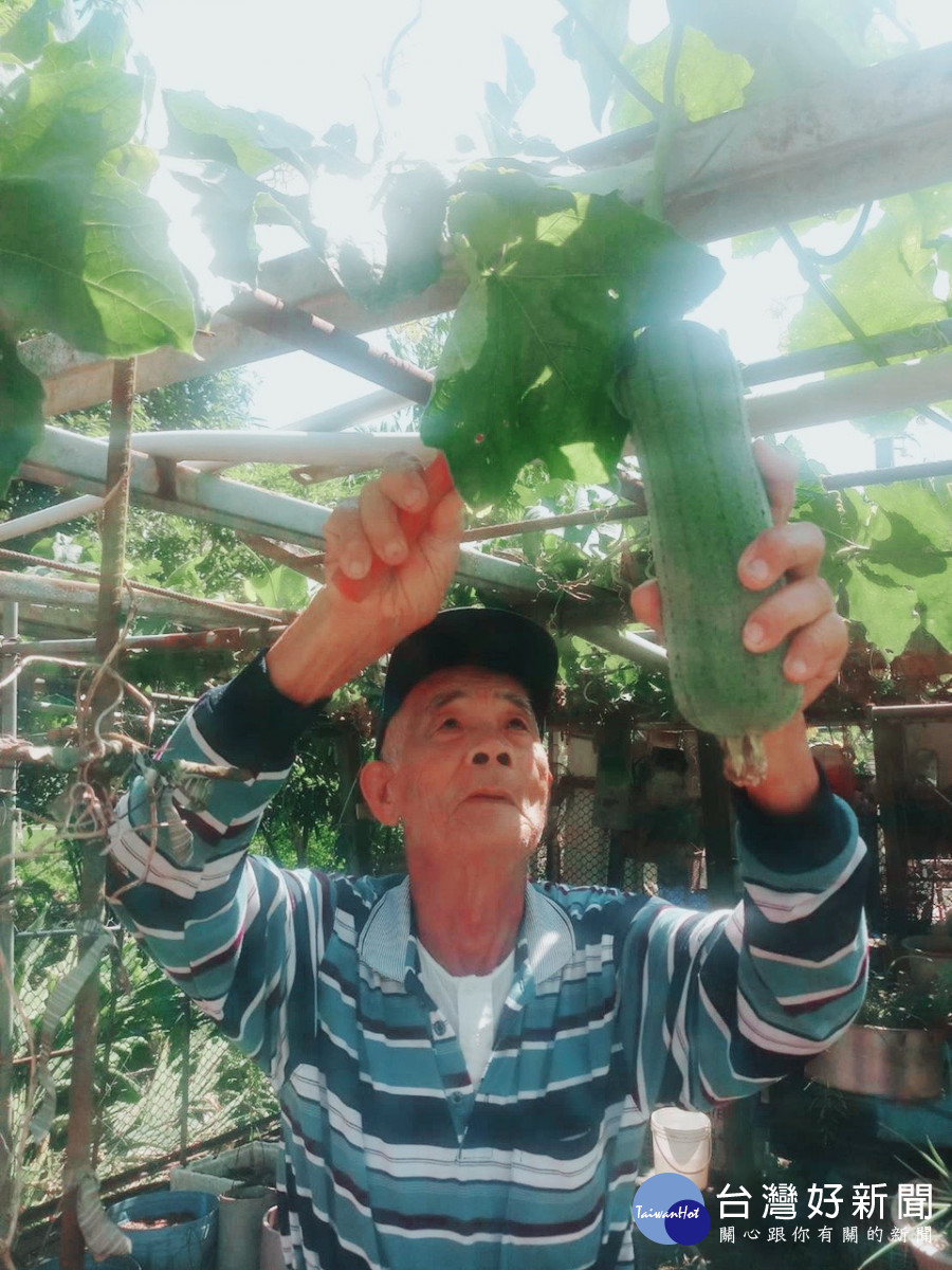 鄒老先生手術完一個月即可進行農作。