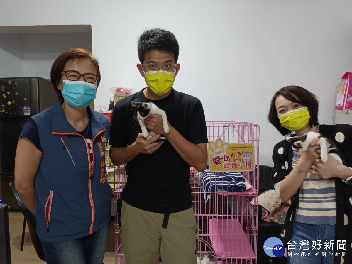 新店百福里認養小棧　網路故事行銷月送養7隻貓