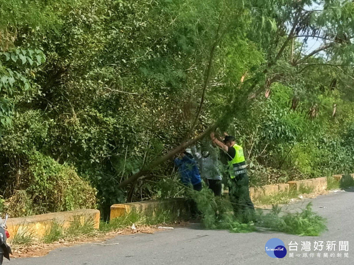 斗六警方協助清潔隊移除倒塌路樹／警方提供