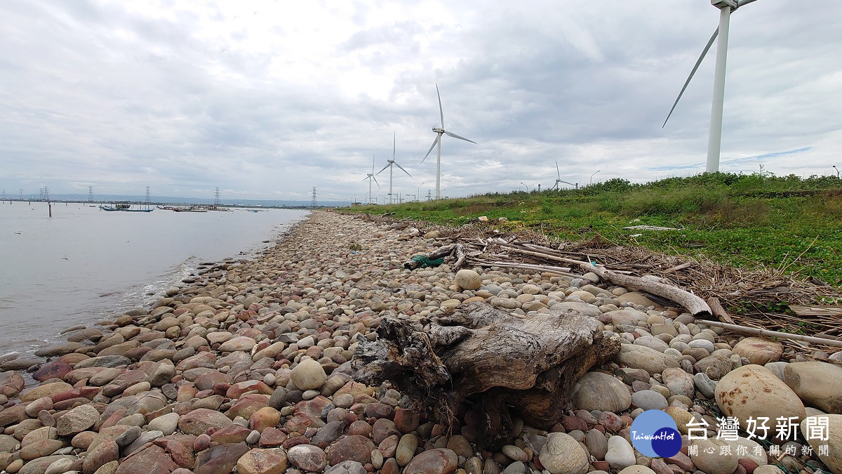 林管處開放彰化海岸地區漂流木撿拾　開放撿拾期間民眾辦理登記