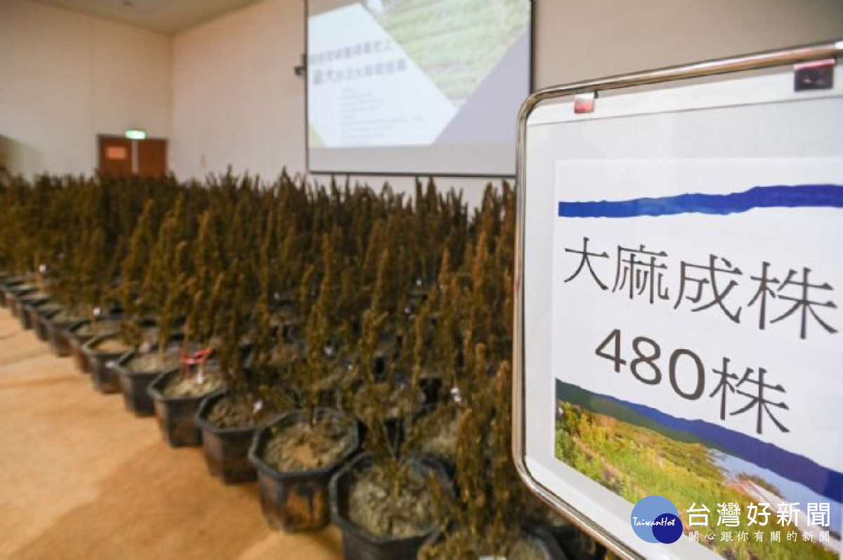 破獲大麻植株4,218株、大麻成品、半成品及製毒工具，總市價超過新台幣12億元。