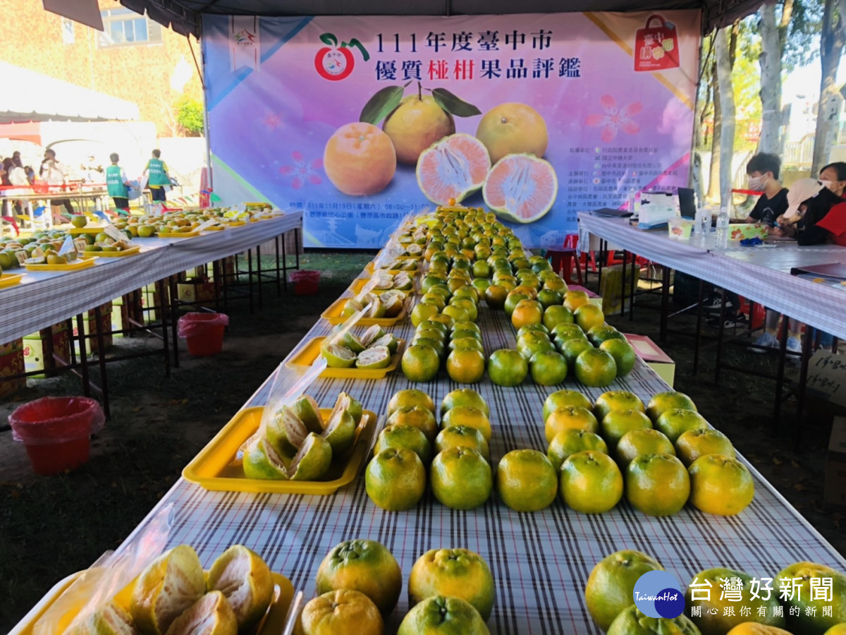 台中市農業局舉辦2022優質椪柑評鑑評鑑，共有80組農民報名參賽。