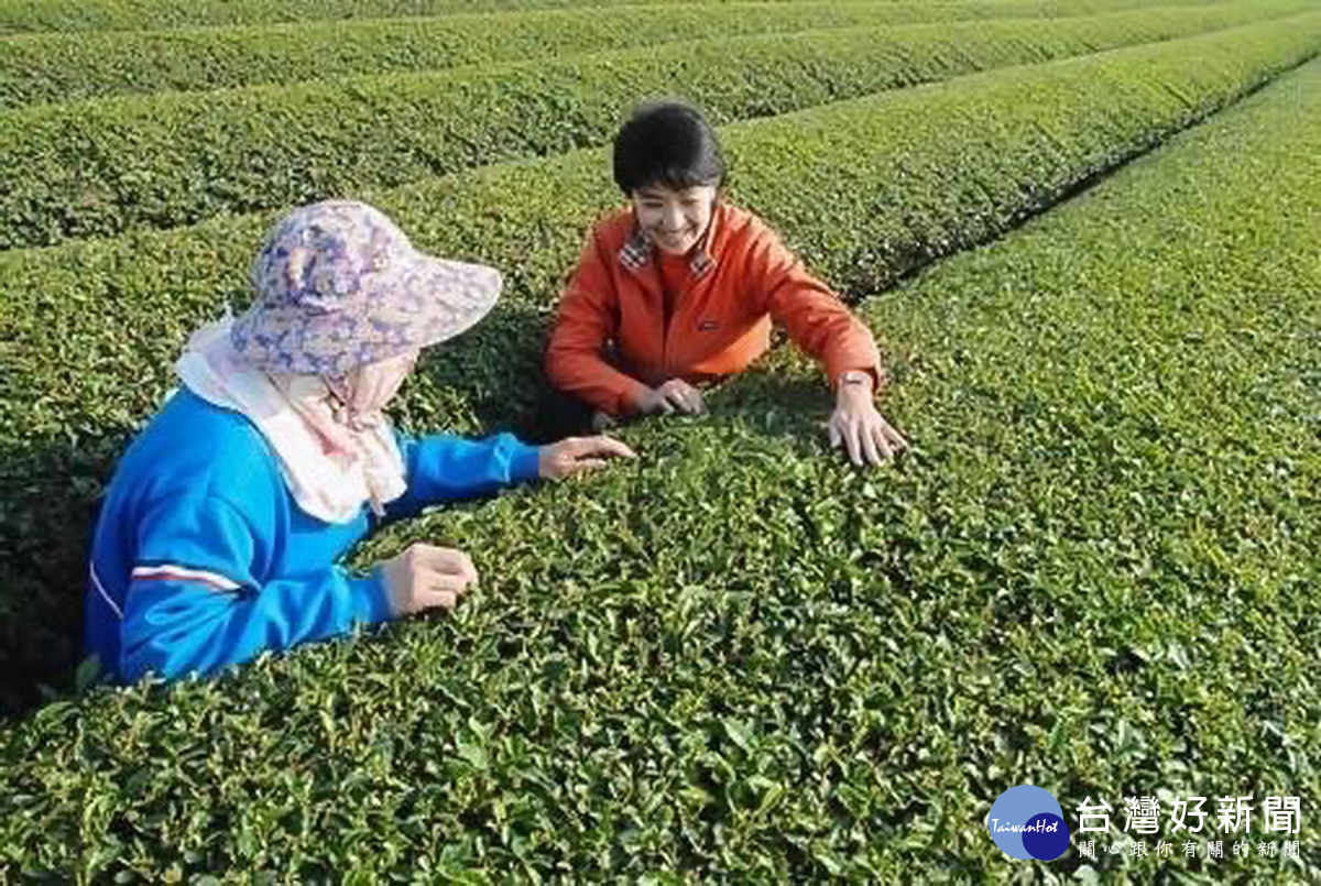 許淑華20年來都在南投深耕。（許淑華競總提供）