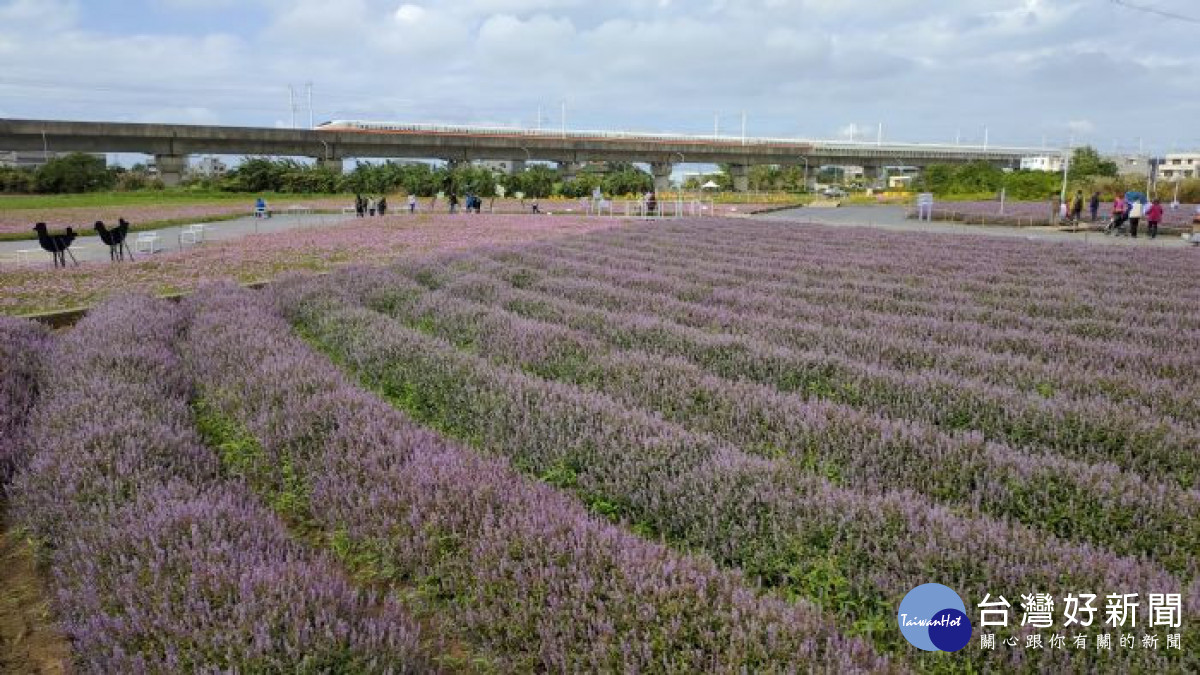 市府持續配合農糧署辦理「綠色環境給付計畫」，全國統一申報期自112年1月3日至2月4日止。