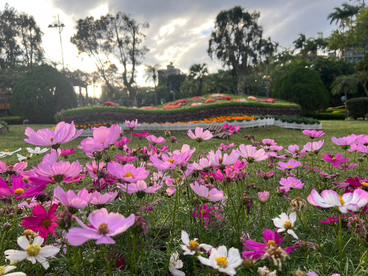 （圖／台北市公園處提供）