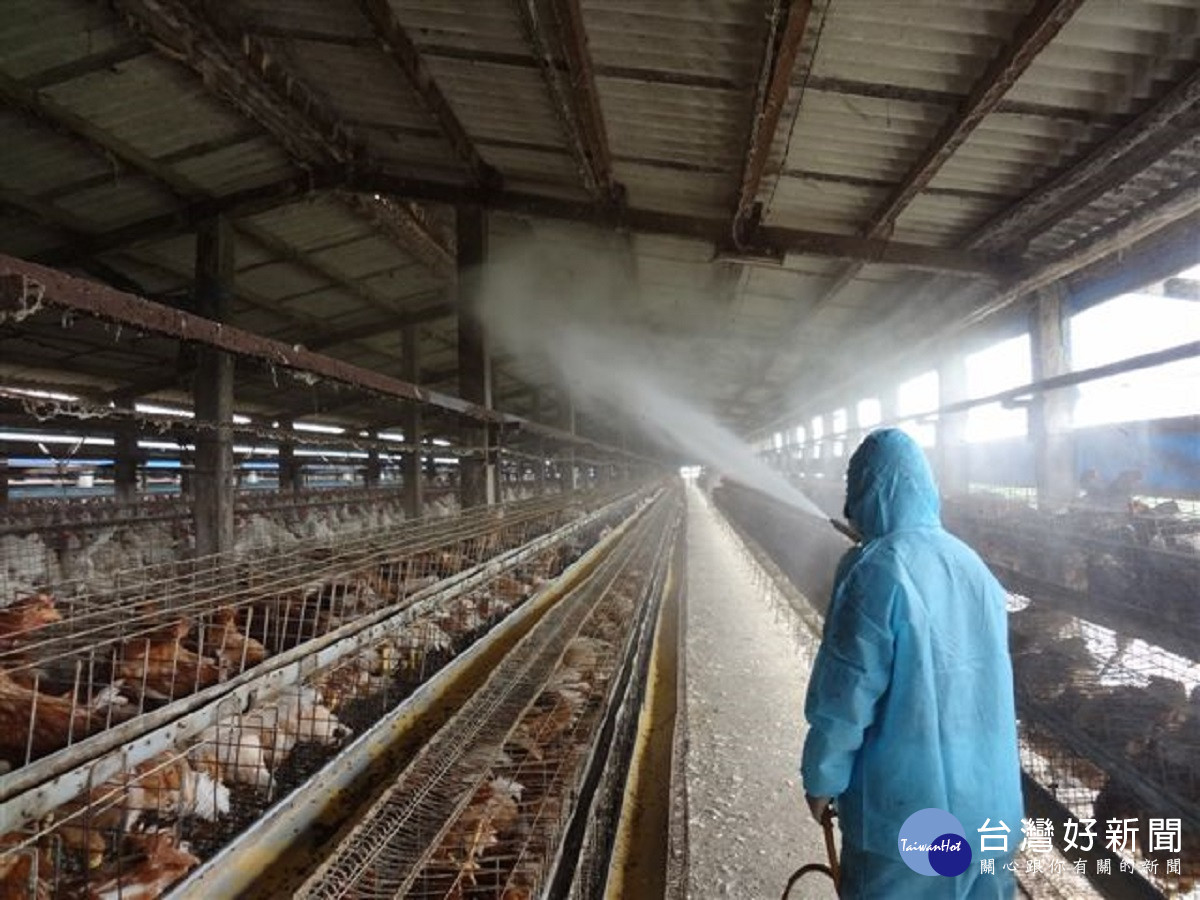 防範H5N1亞型高病原性禽流感病毒入侵 　彰縣加強各項防疫措施