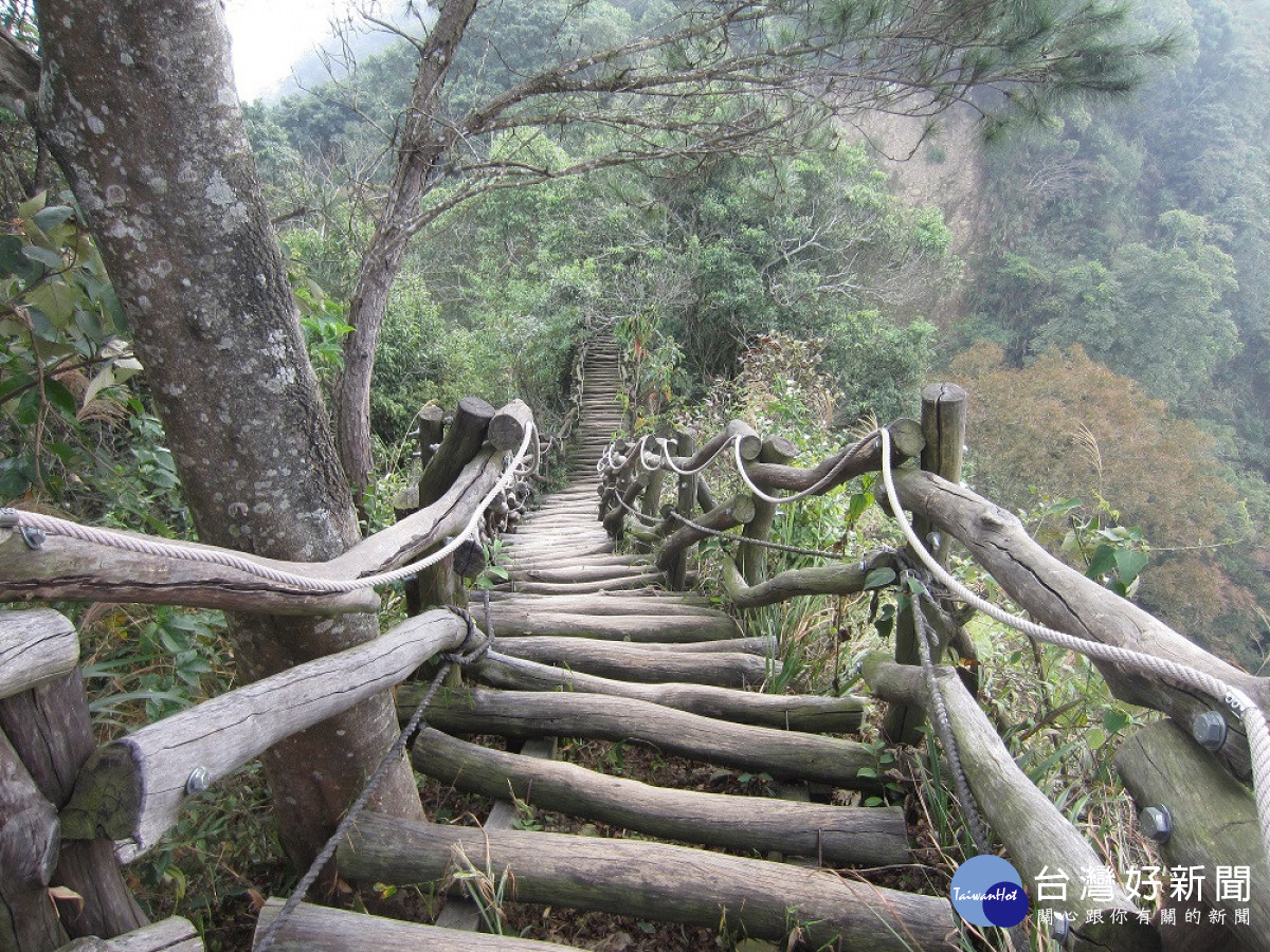 大坑4號登山步道-棧道沿山陵線蜿蜒