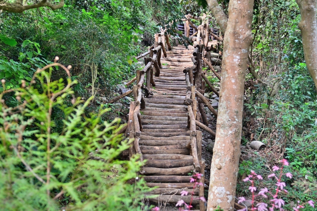 大坑3-1號登山步道新建完成