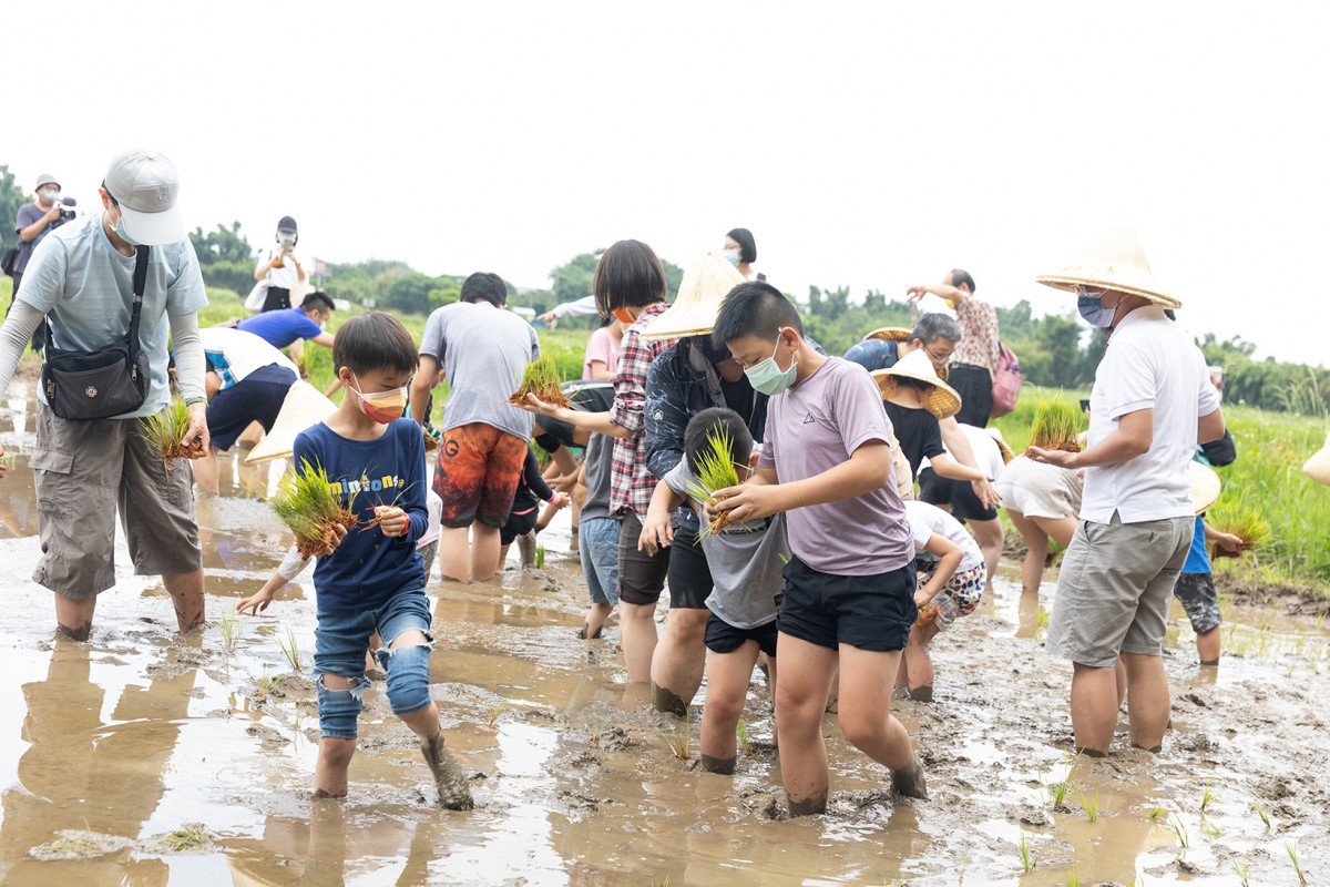 台灣東洋啟動為期三年的「耕著東洋挺健康」公益計畫，邀請員工樂活體驗農事也用行動支持ESG。