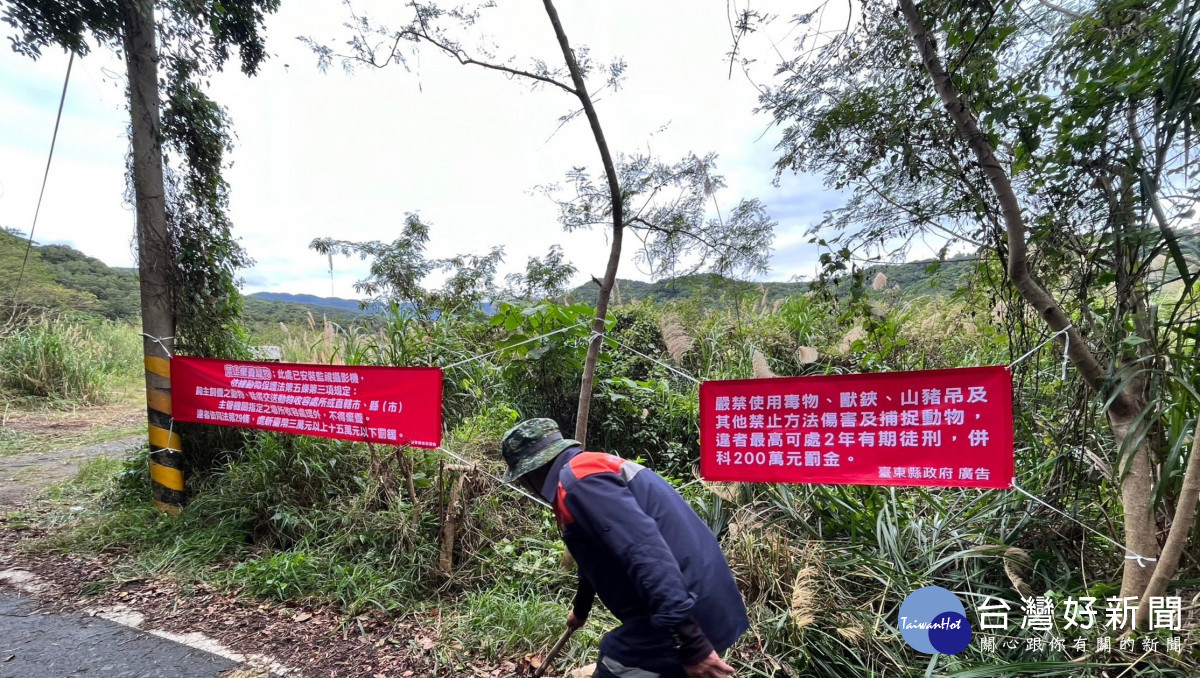 臺東縣府籲嚴禁使用捕獸鋏、山豬吊等陷阱捕捉動物　違者最高處7萬5千元