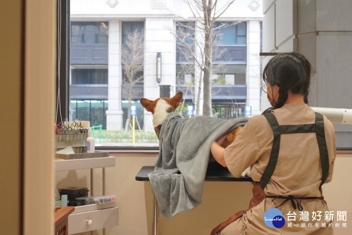 微型創業商家「汪得福寵物漢方生活館」提供毛孩住宿洗澡美容等服務。