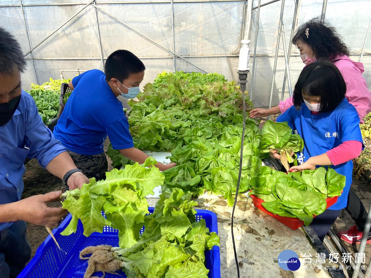 潭墘國小師生義賣栽種水耕蔬菜　傳愛喜樂品嘗收成後的甜美