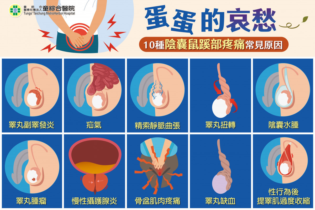 男性陰囊鼠蹊部疼痛常見原因。