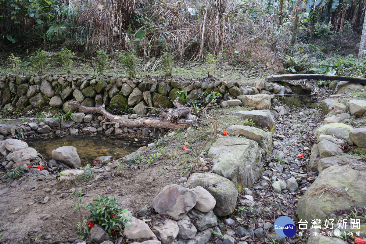 華山設置小型螢火蟲生態池，周邊皆採用當地石頭砌成，採自然生態工法施作/李光揚翻攝