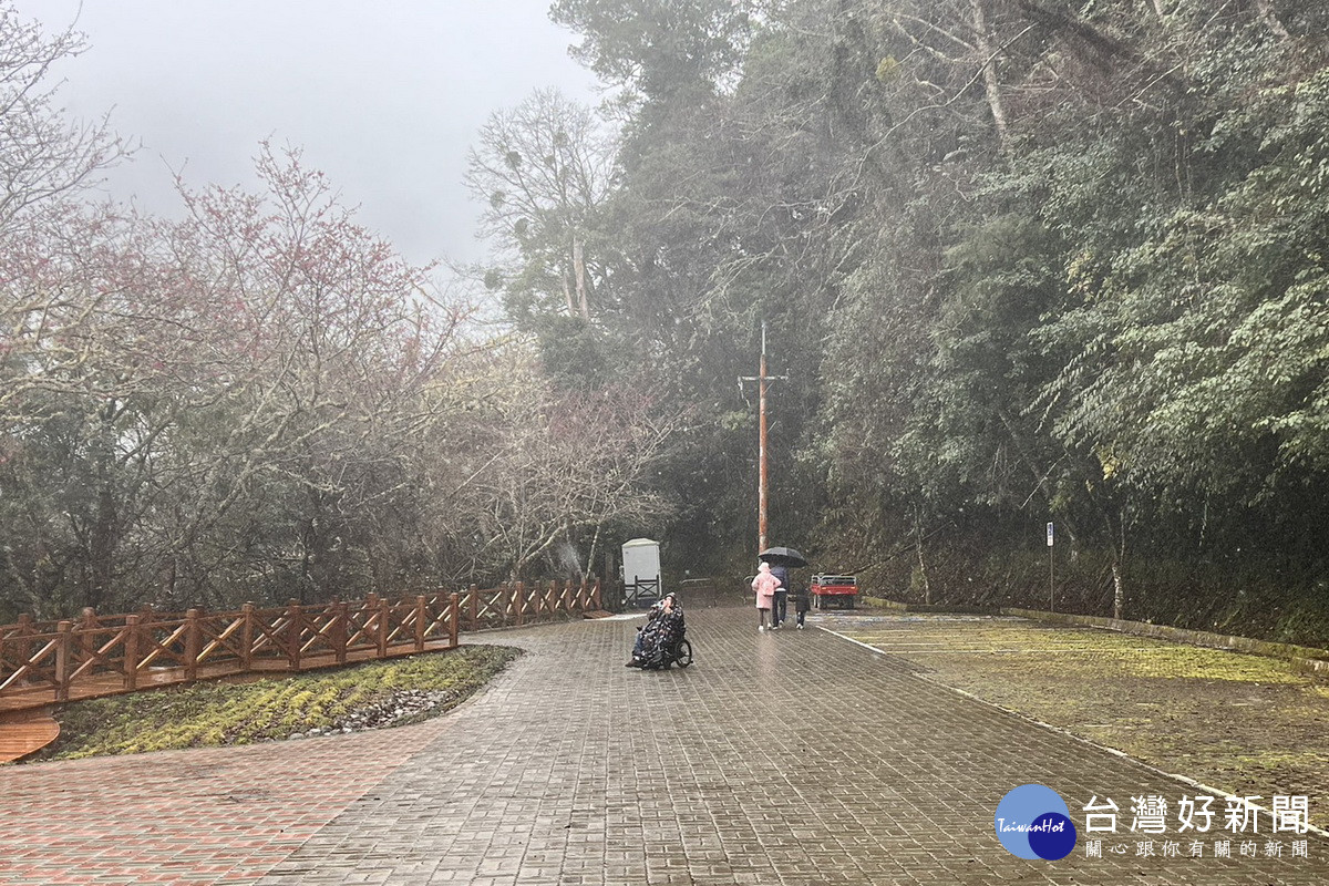 桃園市復興區拉拉山巨木區一帶出現冰霰有機會降雪，桃市府呼籲賞雪民眾注意安全。