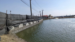 ▲寒流來襲，高市府啟動電費補助協助養殖漁民加溫防寒。（圖／記者 許高祥 翻攝）