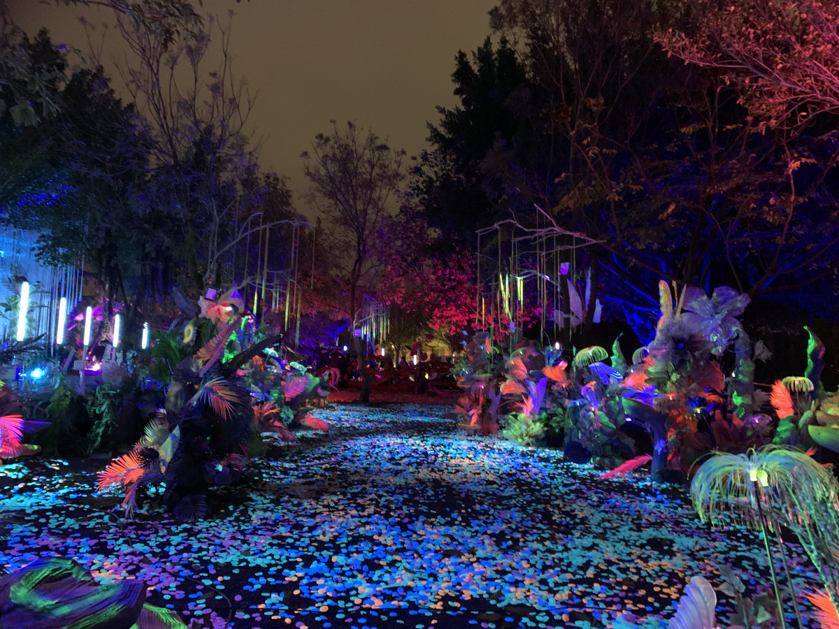 結合中央公園特有地景地貌打造光環境燈光璀璨格外吸睛