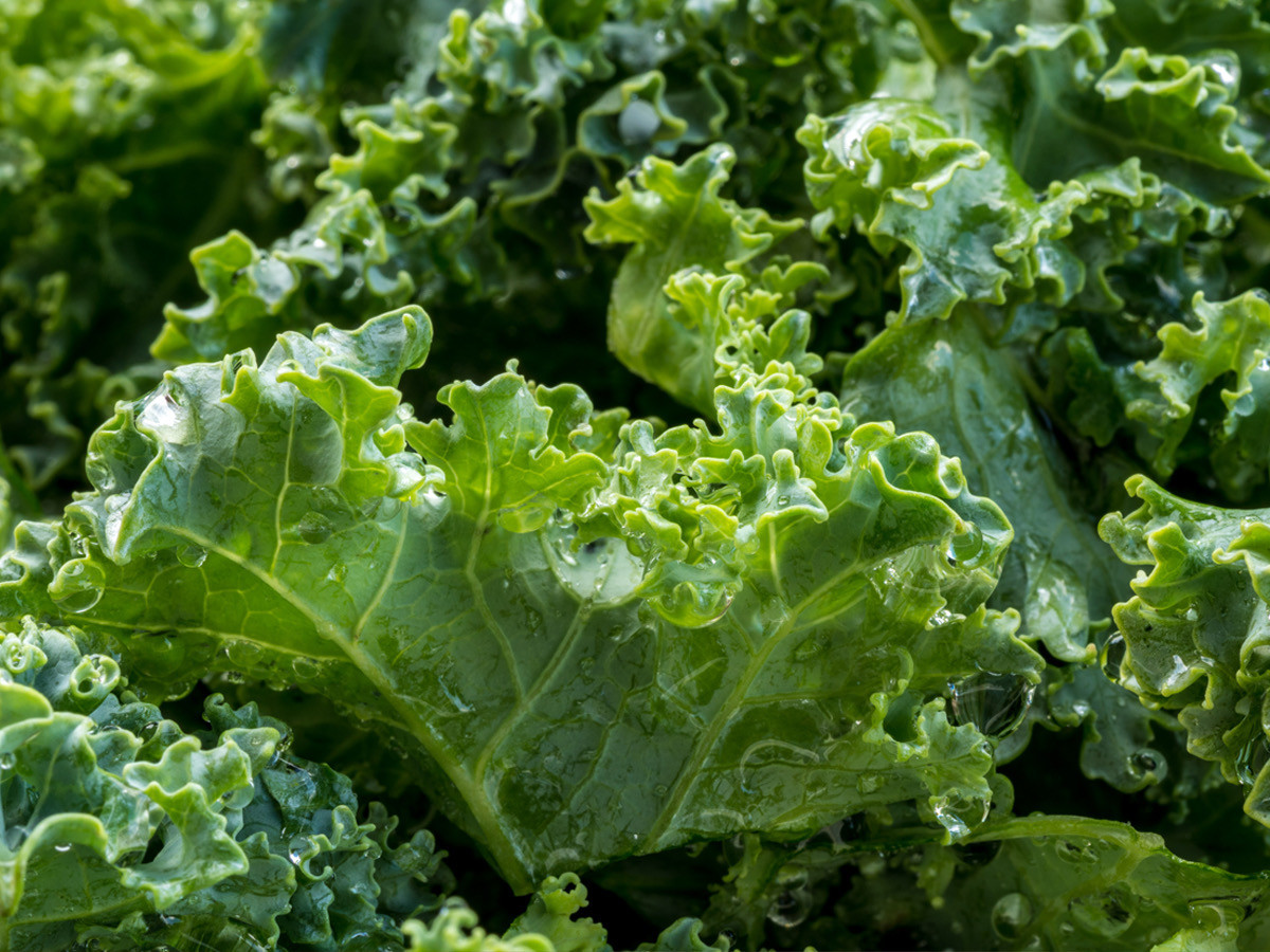 深綠色蔬菜含有天然葉綠素，可幫助消除日常因飲食、口中食物殘渣等所引起的口臭(圖：freepik.com)