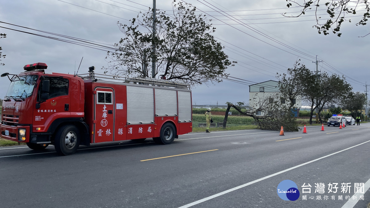 路樹倒塌影響用路安全，土庫警、消排除障礙恢復交通/虎尾警分局提供