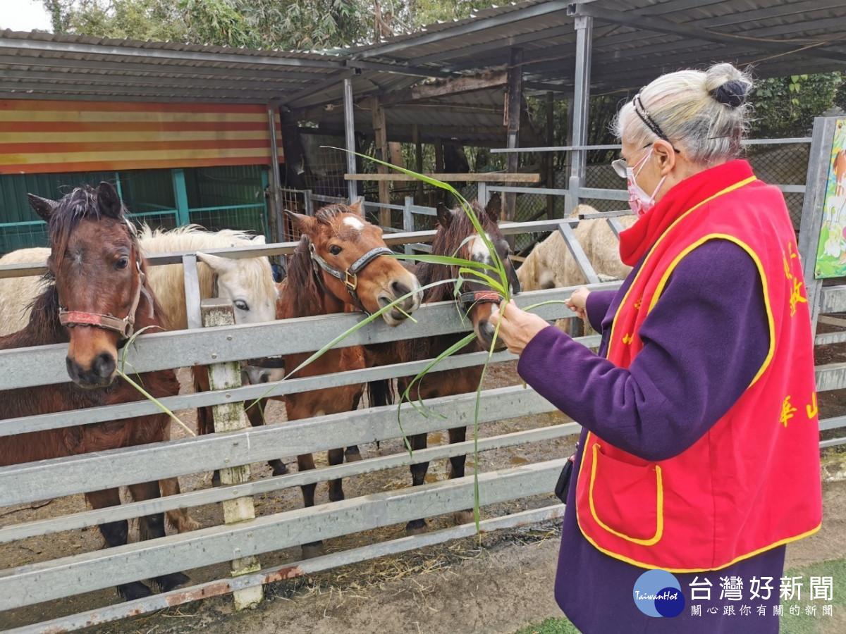 情人節讓愛不孤單 華山陪老寶貝笑開懷