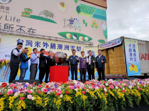 臺灣米讚上國際，「中興米」外銷澳洲180公噸成績亮眼。圖記者鄧富珍攝