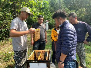 農民可申請於林地適度經營養蜂（圖／林務局提供）