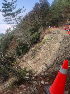 郡大林道25.8K目前崩塌裸露危及林道安全。