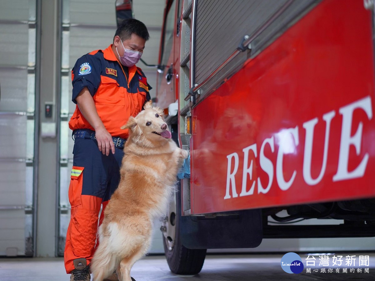 曾参与苍山失联人员搜救任务的消防搜救犬，是如何练成的？__财经头条