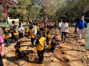 學童將紅茶樹苗化為「紅紅芯光」託付土地，種下紅茶樹苗。