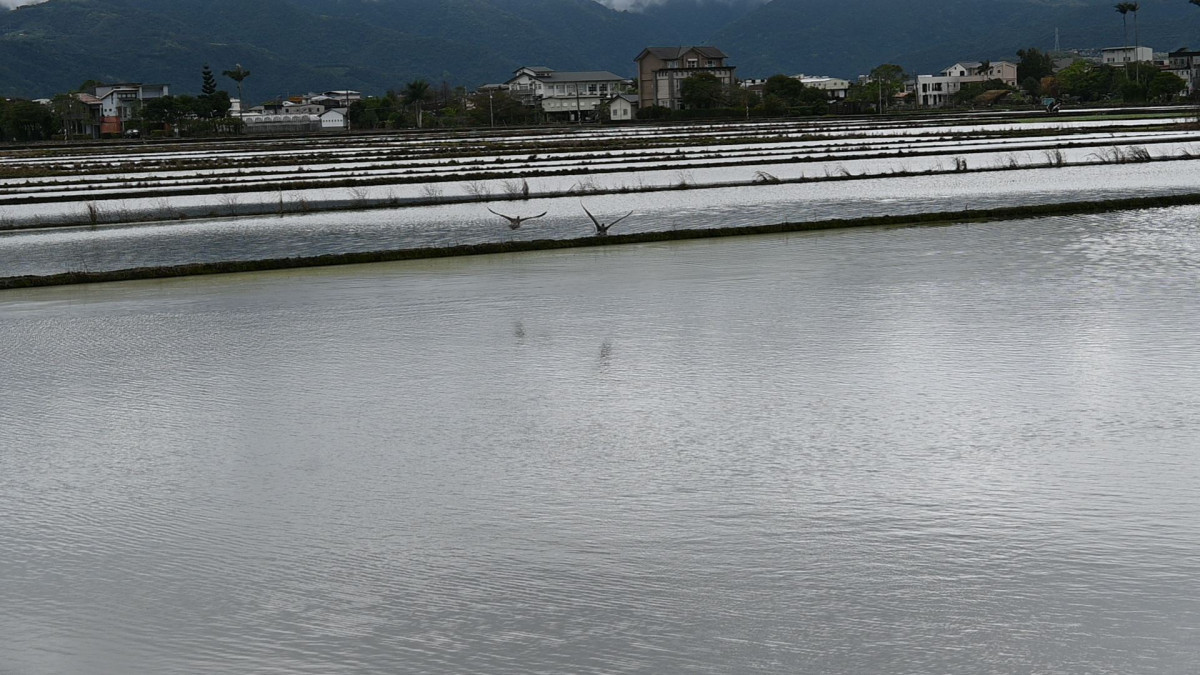 （圖／宜蘭縣府農業處畜產科）