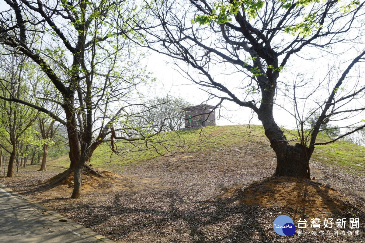 大雅中科公園人造土丘閒置未利用。