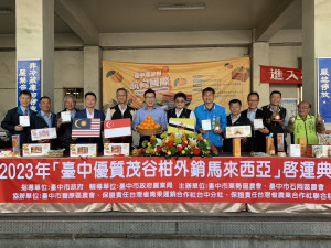 台中茂谷柑外銷馬來西亞 20公噸封櫃啟航