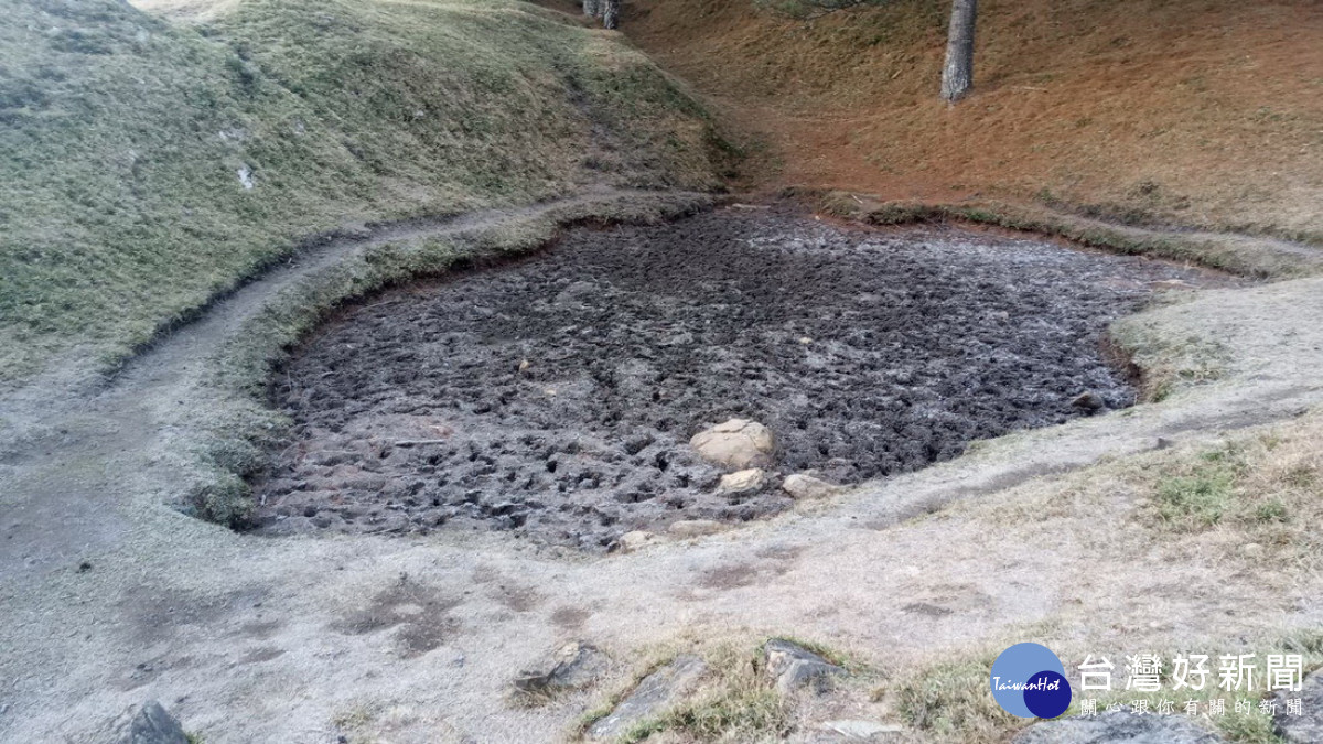 塔塔加遊憩區步道面松脂點佈，水源指標鹿林山看天池乾涸（玉管處提供）